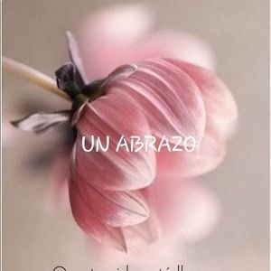 Meet your Posher, Herlinda